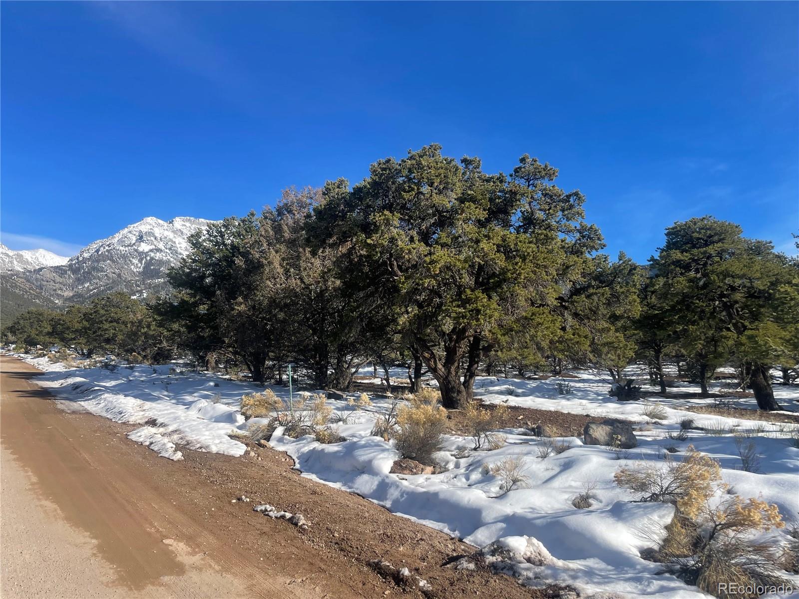 Land in Crestone 3