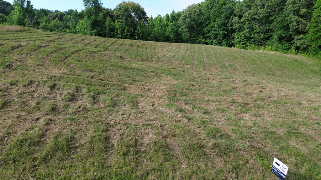 Land in Smithville 3