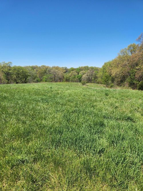 000 State Highway 176, Galena, MO, 65656 | Card Image