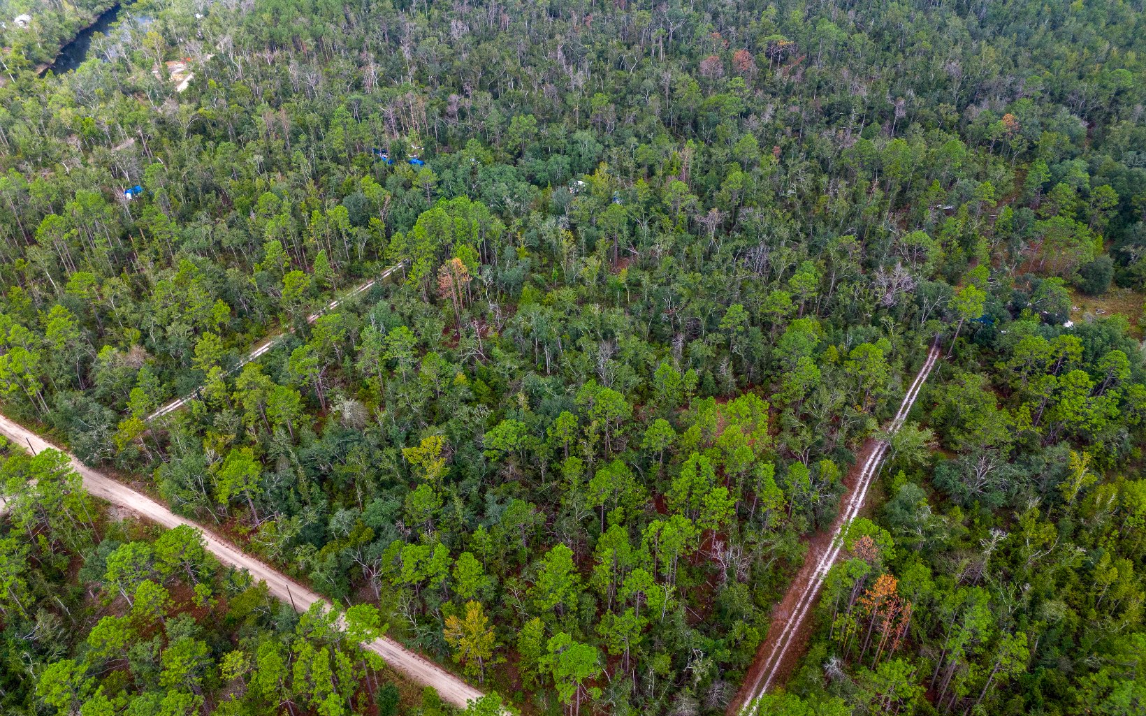 Land in Jasper 4