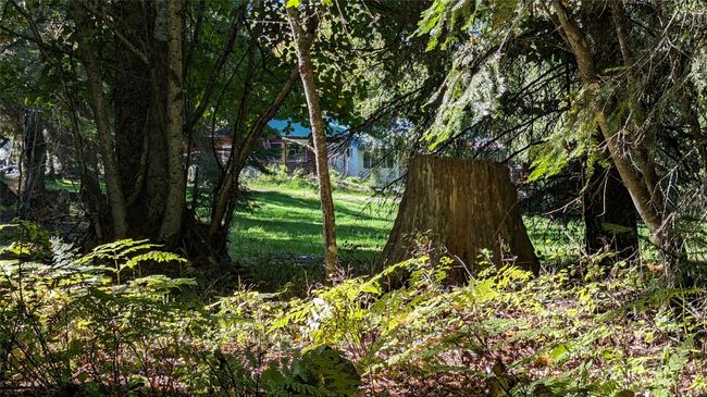Unfinished Cabin In The Woods | Image 14