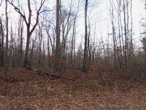 3008 Diego Drive, Crossville, TN, 38572 | Card Image
