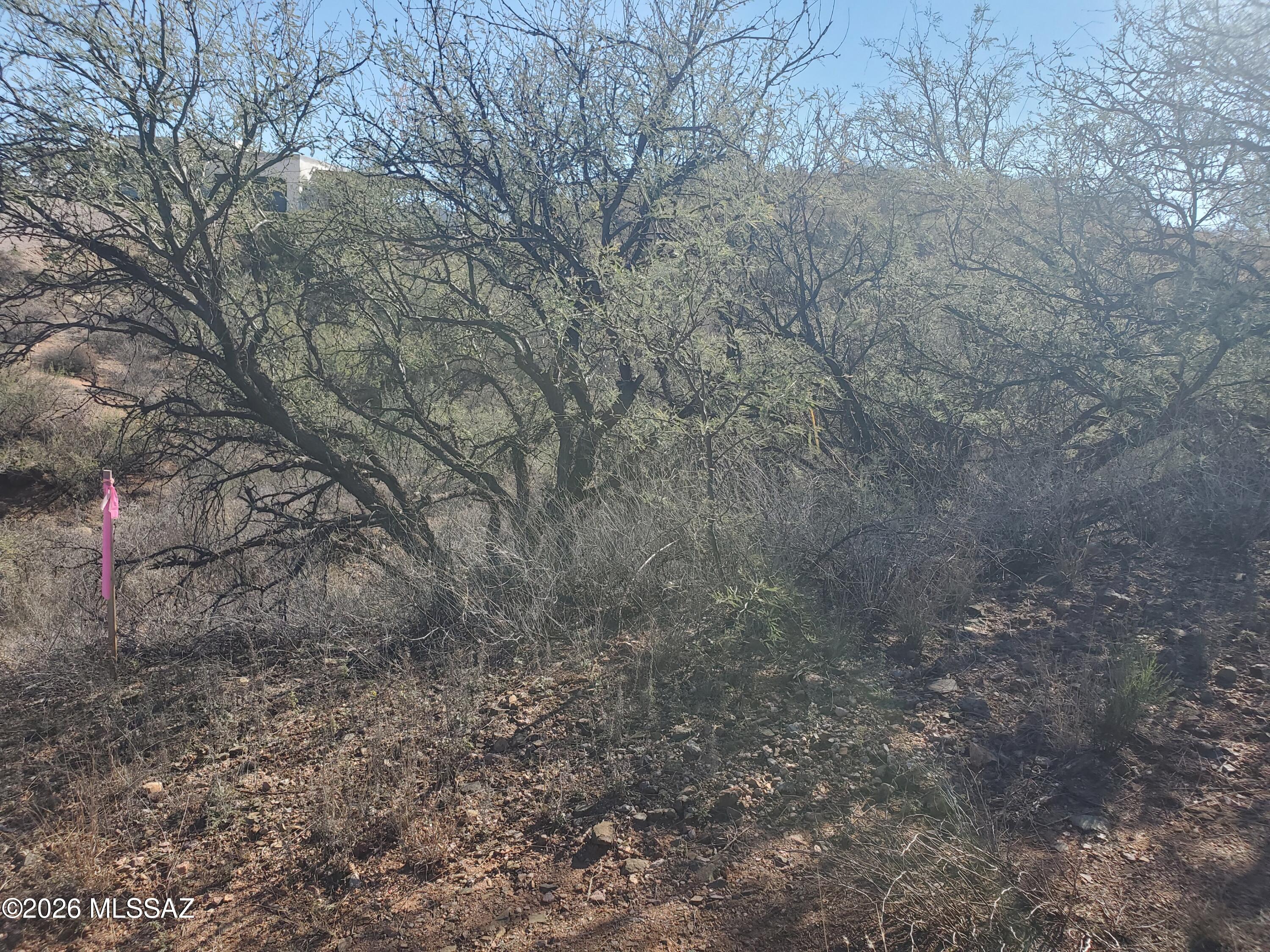 Land in Rio Rico