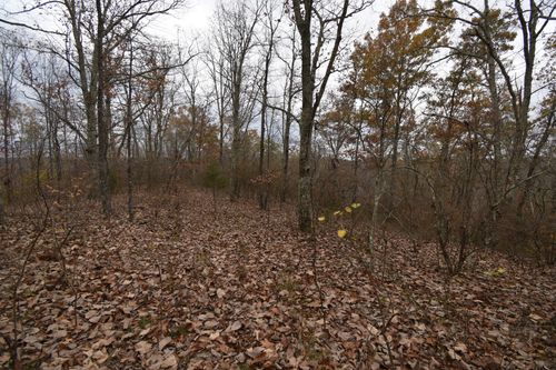 0 Depriest Bend Dr, Lobelville, TN, 37097 | Card Image