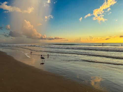 unit-501-1025 Highway A1a, Satellite Beach, FL, 32937-2590 | Card Image