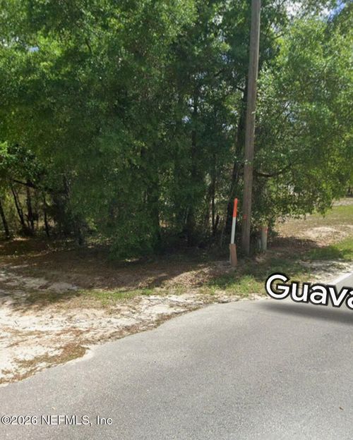 202 Guava Ave, Pomona Park, FL, 32181-2357 | Card Image