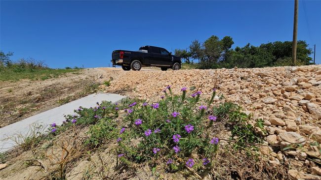 Wild Flowers! | Image 5