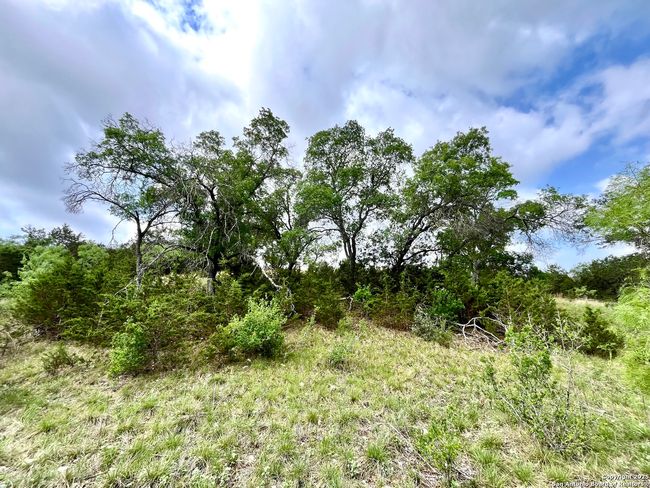 1155 Razor Ridge Rd, Home with 3 bedrooms, 2 bathrooms and null parking in Junction TX | Image 38