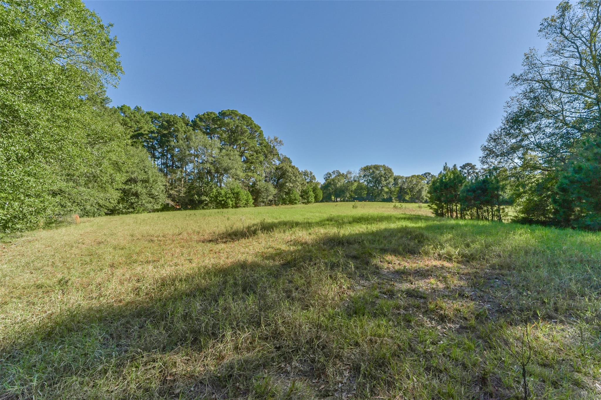 Land in New Waverly 3