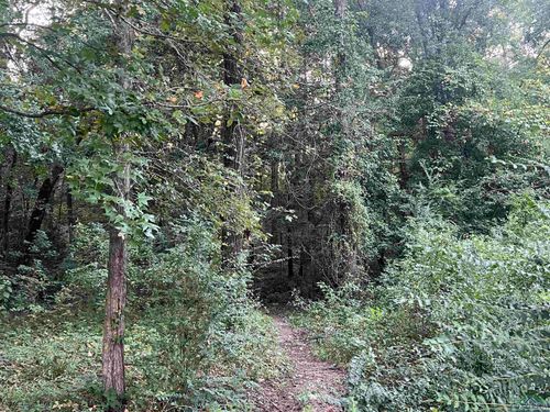 TBD Willowood Trl, Gilmer, TX, 75645 | Card Image