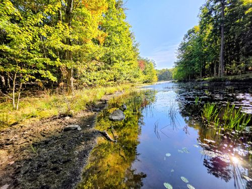 6 Beechwood Trail, Coalmont, TN, 37313 | Card Image