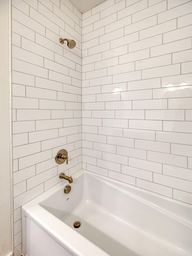 1168 Paper Birch-31 | Image 32