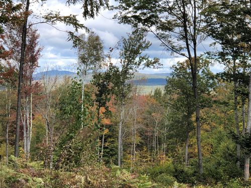 67 Dobbins Way, Alton, NH, 03809-5082 | Card Image
