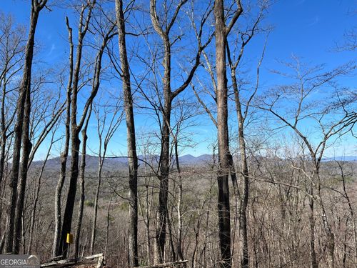 32 Raven Ridge Cir, Mineral Bluff, GA, 30559 | Card Image