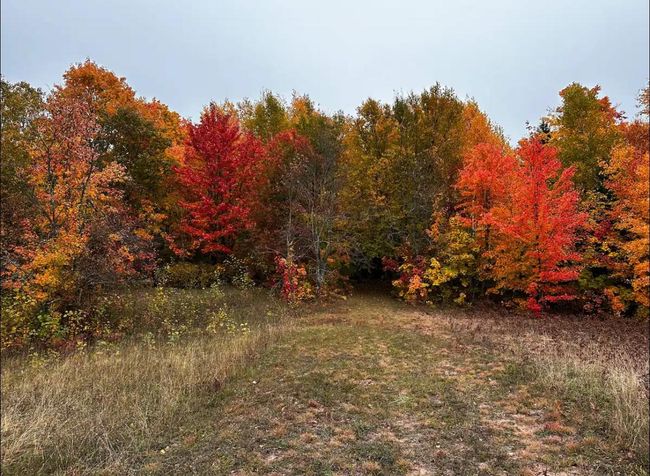 13906 Himanka Hill Rd, House other with 1 bedrooms, 1 bathrooms and null parking in Bruce Crossing MI | Image 29