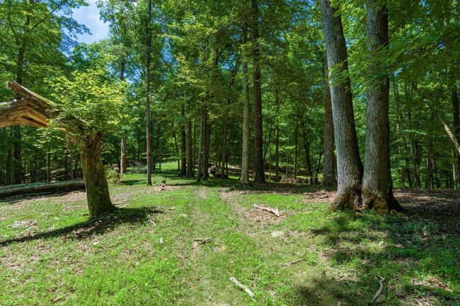 58501 Us Highway 50, Home with 0 bedrooms, 0 bathrooms and null parking in Mc Arthur OH | Image 64