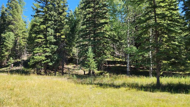 1720 Coon Hollow Rd, Home with 0 bedrooms, 0 bathrooms and null parking in Kila MT | Image 15