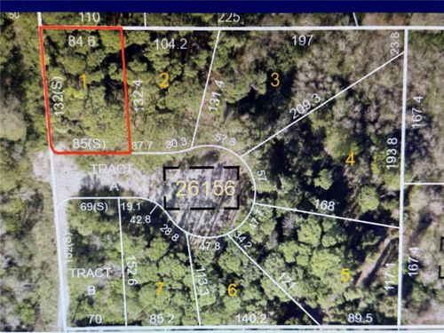 1289 Almaria Court, PALM HARBOR, FL, 34683 | Card Image