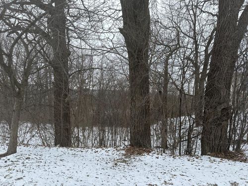 XXXX Salem Heights Lane Sw, Rochester, MN, 55901 | Card Image