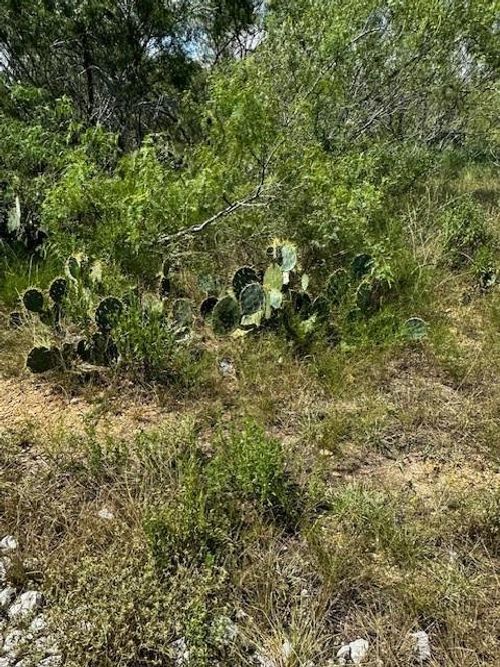 4 County Road 420, Waelder, TX, 78959 | Card Image