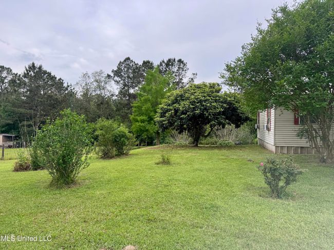 The yard is green | Image 4