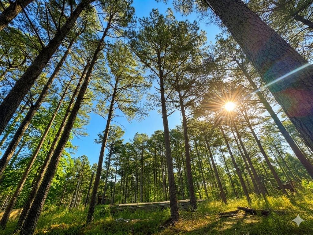 Land in Broken Bow 4