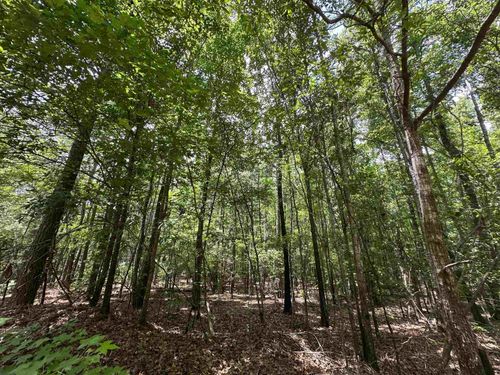na-9.82 +/- Acres Springfield Road, Sparta, GA, 31087 | Card Image