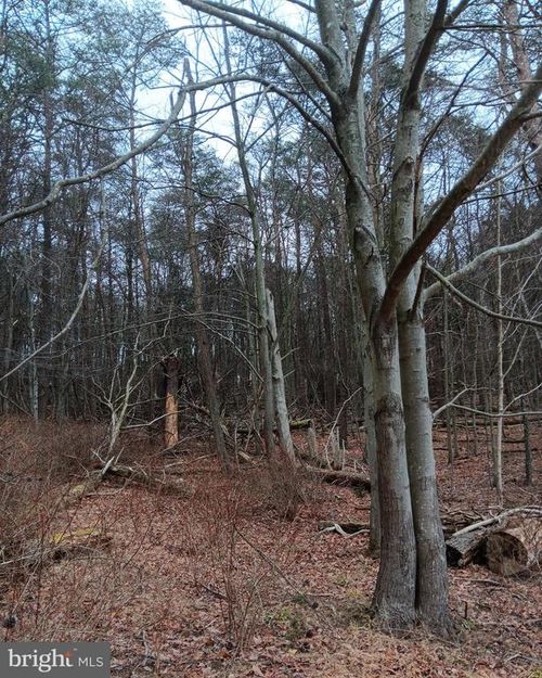 0 Bunker Hill Rd, Everett, PA, 15537 | Card Image