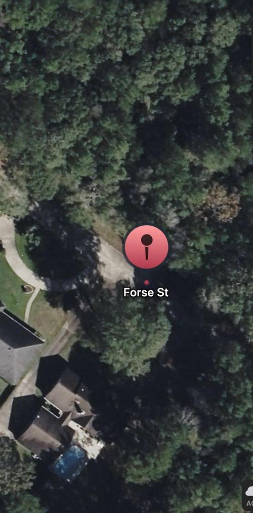 TBD Forse Dr, Woodville, TX, 75979 | Card Image