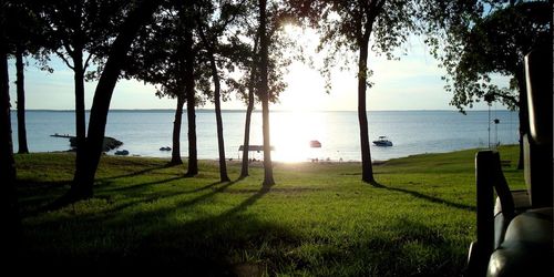 205 Wing Haven Ct, Gordonville, TX, 76245 | Card Image