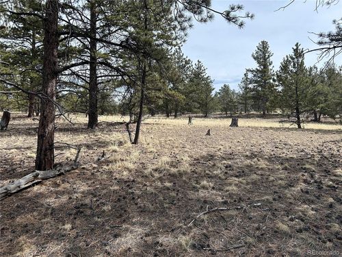 2146 Wagon Wheel Rd, Hartsel, CO, 80449 | Card Image