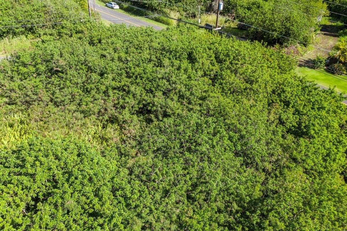 Land in Naalehu 5