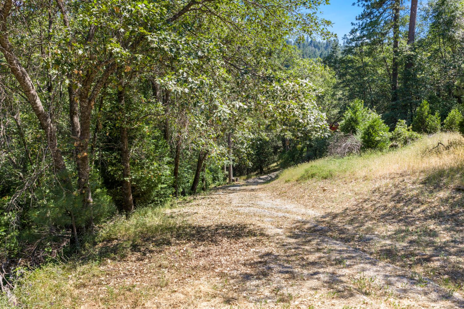Land in Camino 2