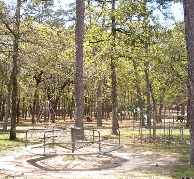 944 Clear Water Trl, House other with 3 bedrooms, 2 bathrooms and null parking in Holly Lake Ranch TX | Image 43