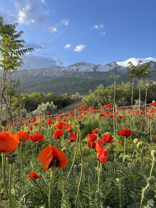 3862 W Oak Hill Dr, Alpine, UT, 84004-2046 | Card Image