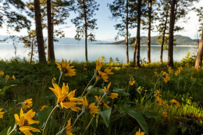 Property view of water | Image 56