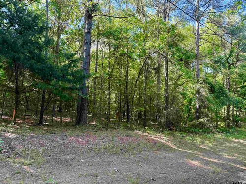 18561 Paradise Ln, Flint, TX, 75762-9633 | Card Image