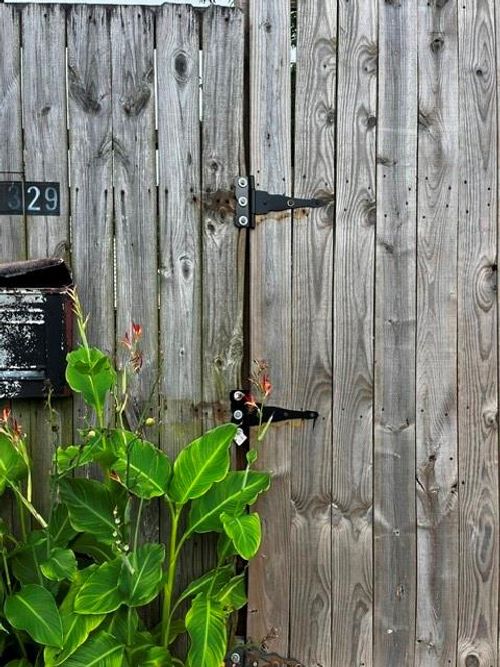 1329 Eagle St, New Orleans, LA, 70118-1204 | Card Image