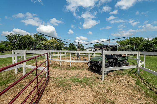 View of yard | Image 10
