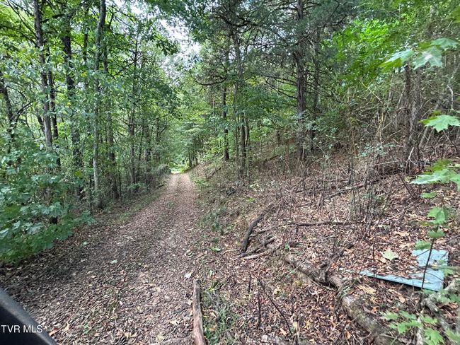1300 Fish Hatchery Rd, House other with 3 bedrooms, 2 bathrooms and null parking in Mohawk TN | Image 17