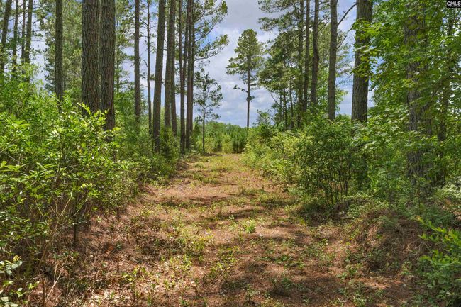 0000 N Brewington Rd, Home with 0 bedrooms, 0 bathrooms and null parking in Manning SC | Image 49
