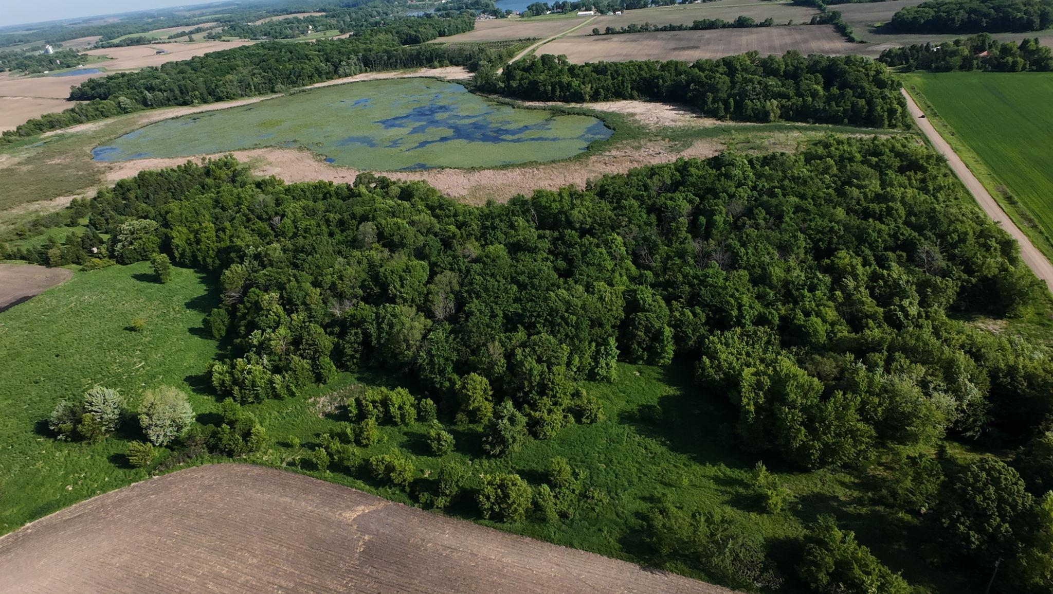 Land in Morristown 5