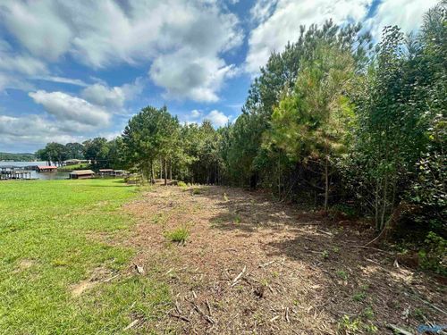 Lot 4 County Road 520, Centre, AL, 35960 | Card Image