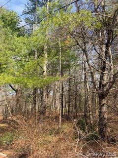 Land in Deerpark 5