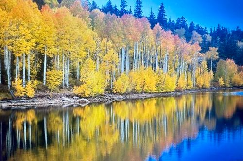77-532 Kolob Rd, Springdale, UT, 84767 | Card Image