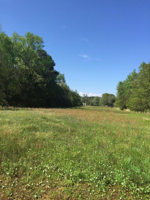 0 Boy Scout Rd, Wadmalaw Island, SC, 29487 | Card Image