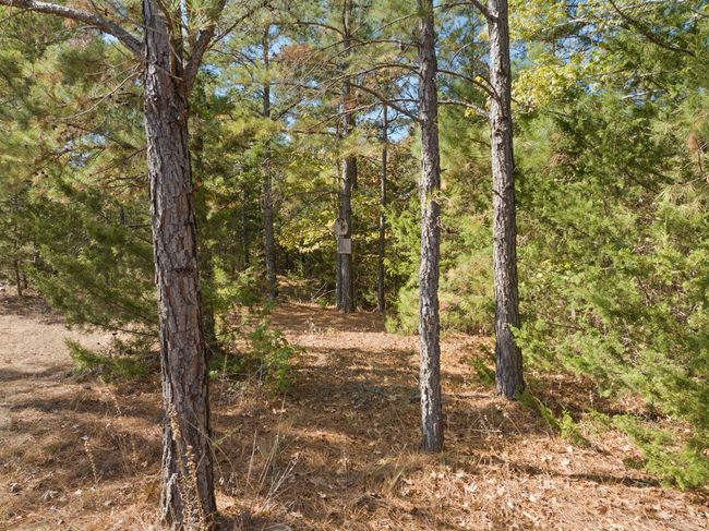 View of landscape | Image 30