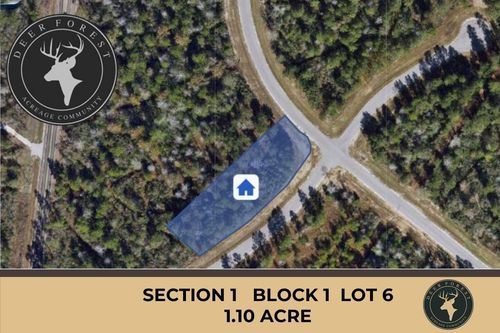 127 Gypsum Rd, New Waverly, TX, 77358 | Card Image