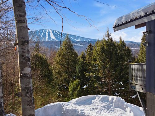 5 Wall St, Winhall, VT, 05340-8805 | Card Image