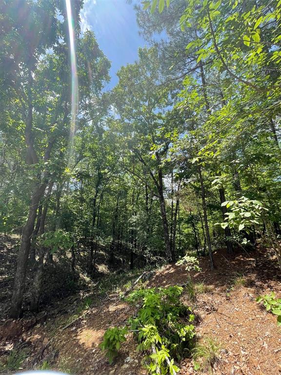 Land in Broken Bow
